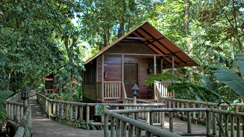 Tortuguero Aniga Lodge 10