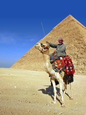 egypten - kamel pyramide oerken