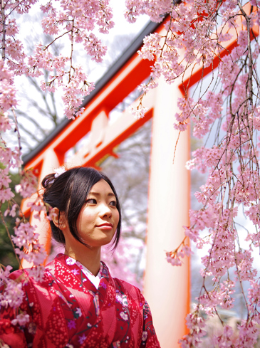 japan - japan_sakura_kisebaertrae_kvinde_02_hf