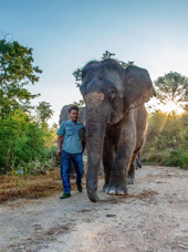 thailand - the bush camp_elefant_02