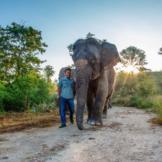 thailand - the bush camp_elefant_02