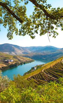 Douro Dalen_06