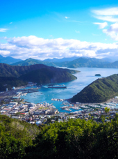 new zealand - marlborough sounds_picton_04