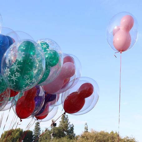 Disneyland Ballon