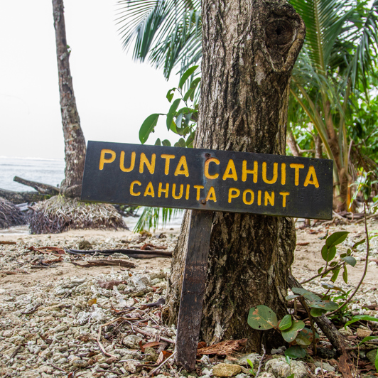 Cahuita National Park 01