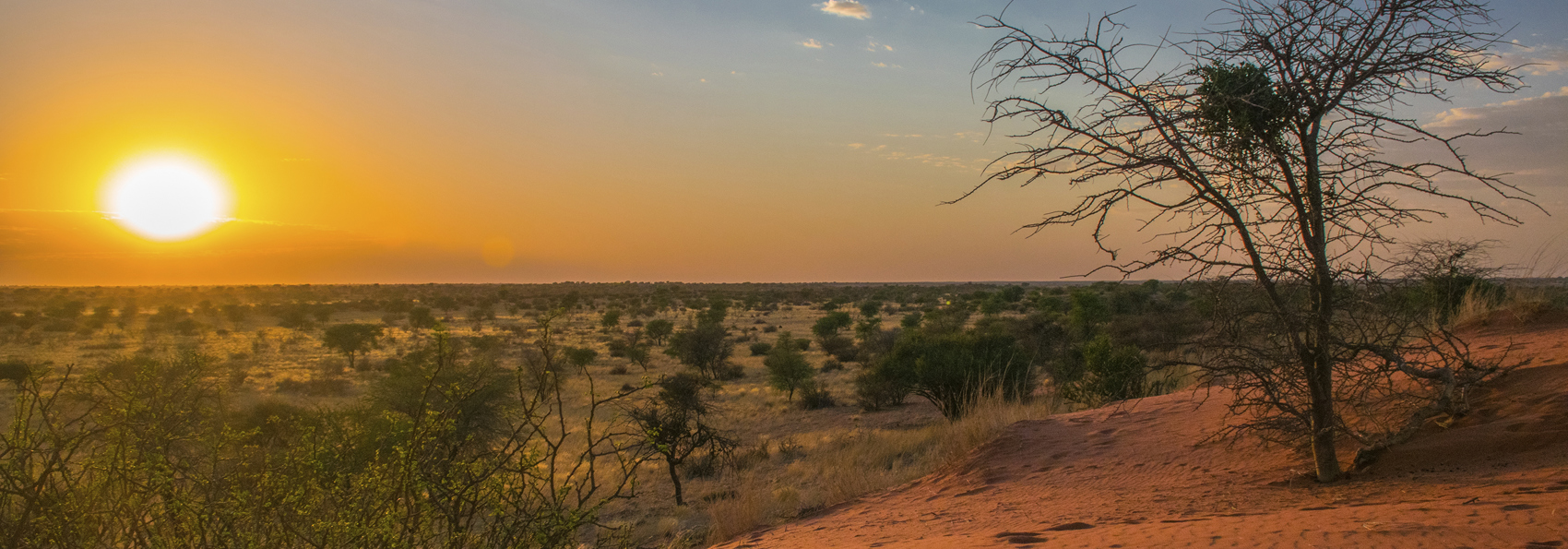 kalahari oerken_solnedgang_01