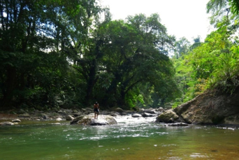 Yorkin De Talamanca Flod 01