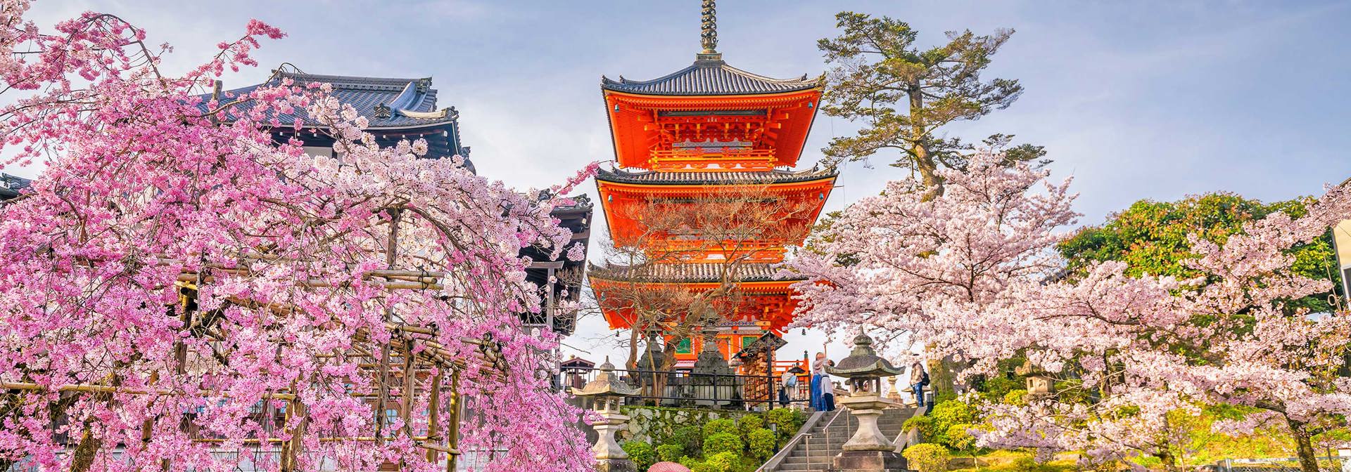 Kyoto Kiyomizudera Sakura