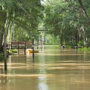 argentina - parana delta_01