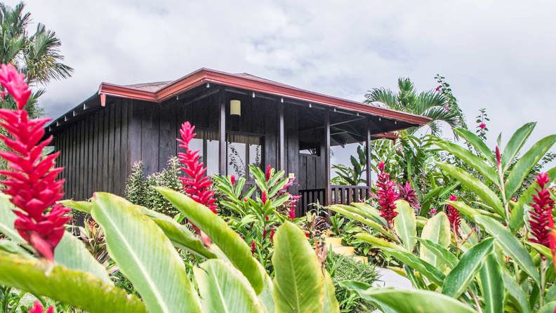 Planter Foran Bungalow