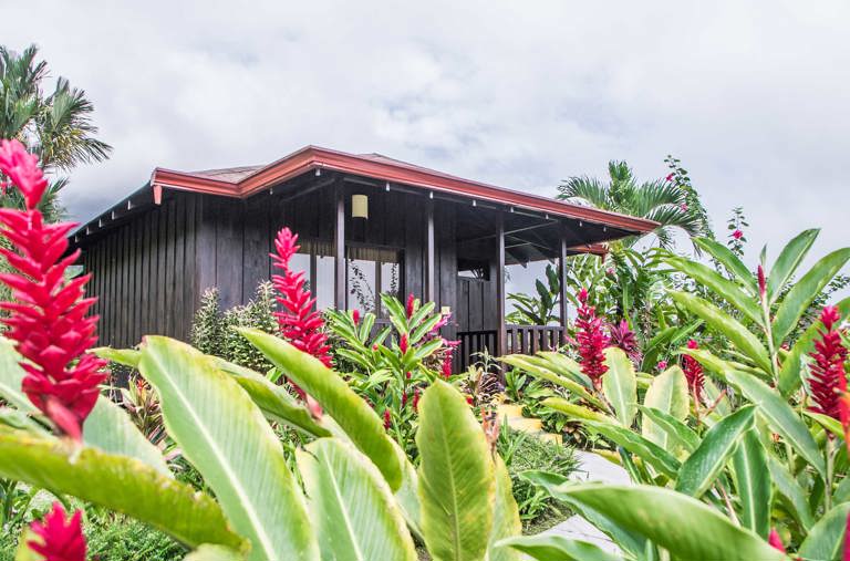 Planter Foran Bungalow