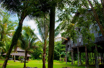 Borneo Sarawak Longhouse 700407694