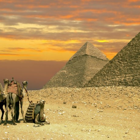 egypten - sahara kamel pyramide