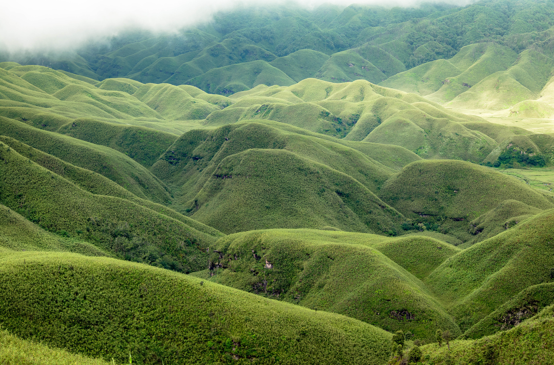 Nagaland Dzokou Dalen 01