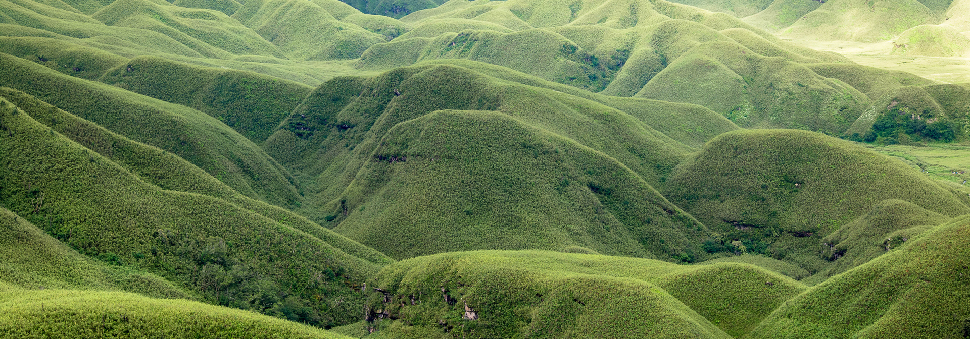 Nagaland Dzokou Dalen 01