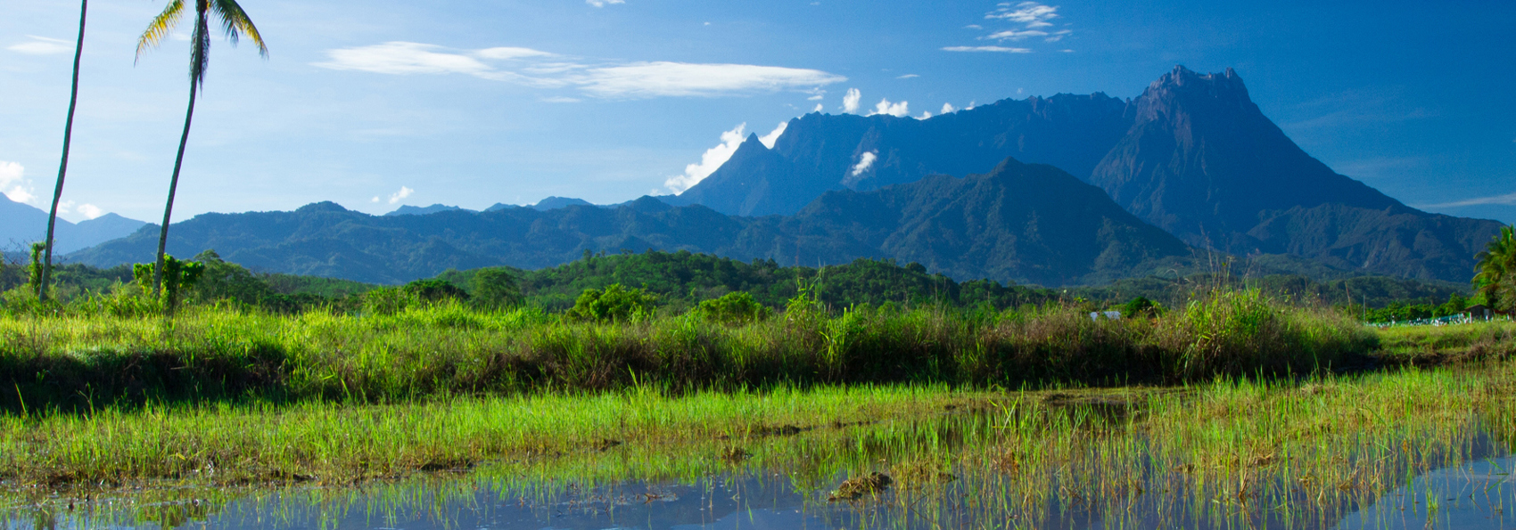 mount kinabalu_11