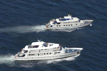 Vi bor meget behageligt på vores skib M/Y Coral I eller M/Y Coral II med maksimum 36 gæster på skibet