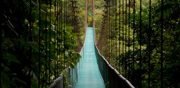 costa rica - monteverde_jungle_haengende_bro_02