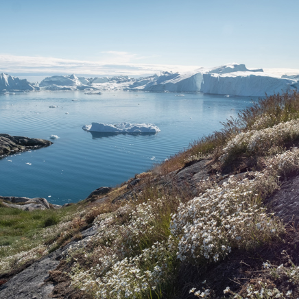 Ilulissat Isfjord