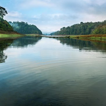 indien - periyar lake_02