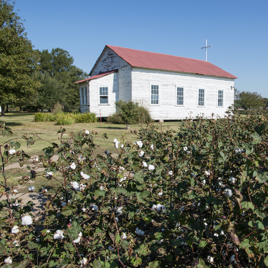 usa - louisiana_frogmore